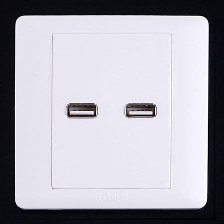 2 x USB Ports Wall P