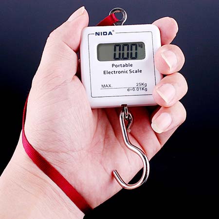 2Kg /0.1g Digital El