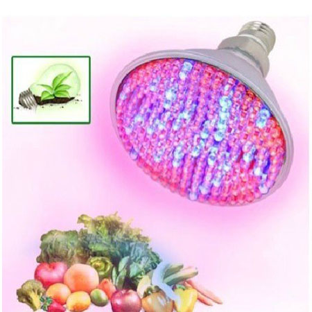 168 Red Blue LED ORC