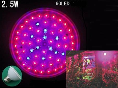 2.5W 60LED plant gro