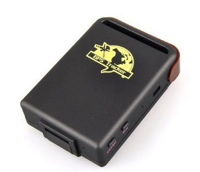 Handheld Pet real ti