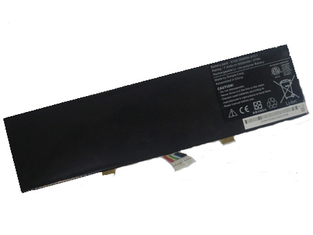 A102-2S5000-S1C1 batterie