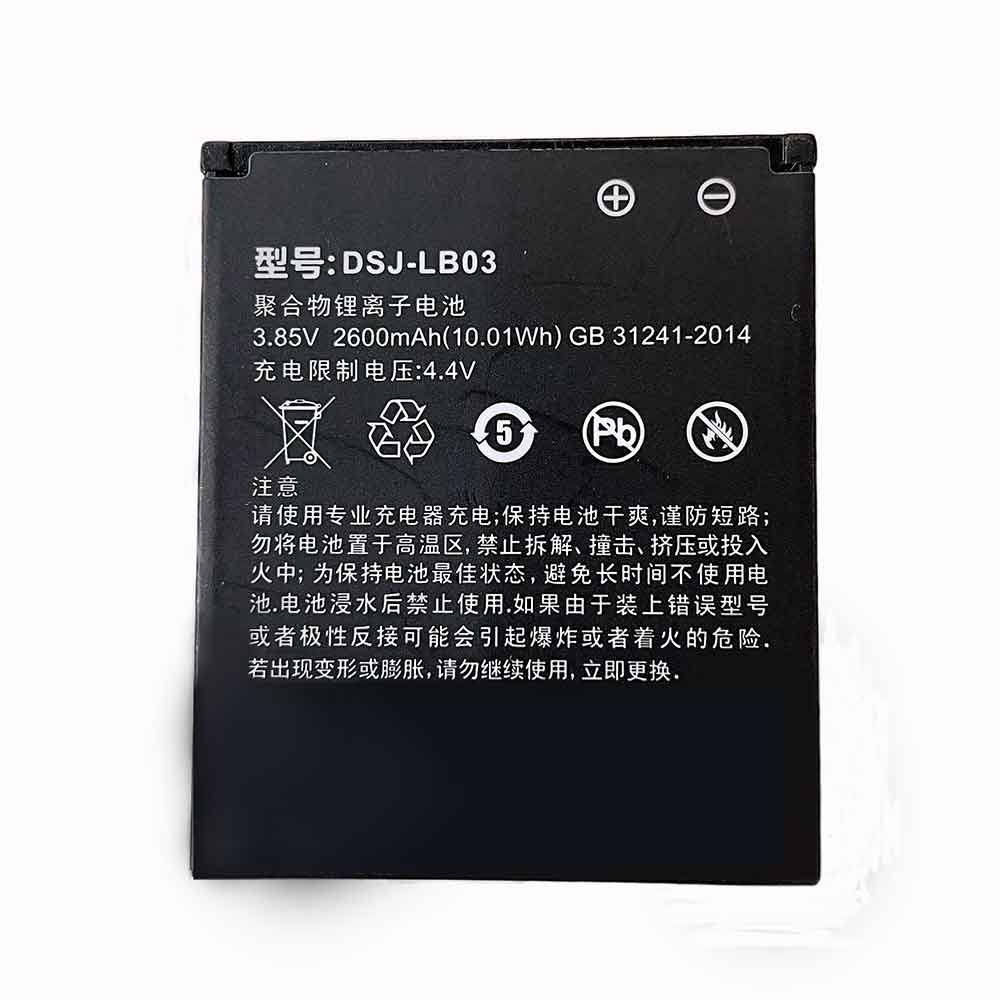 Batterie pour 2600mAh 3.85V DSJ-LB03