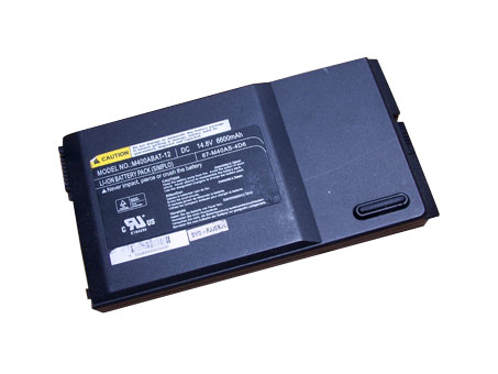 Batterie pour 6600mAh 14.8V(12cell) 387-M40AS-4D6