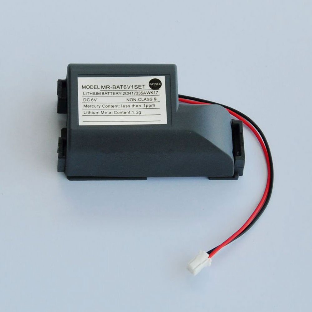 different ER6VC119B battery